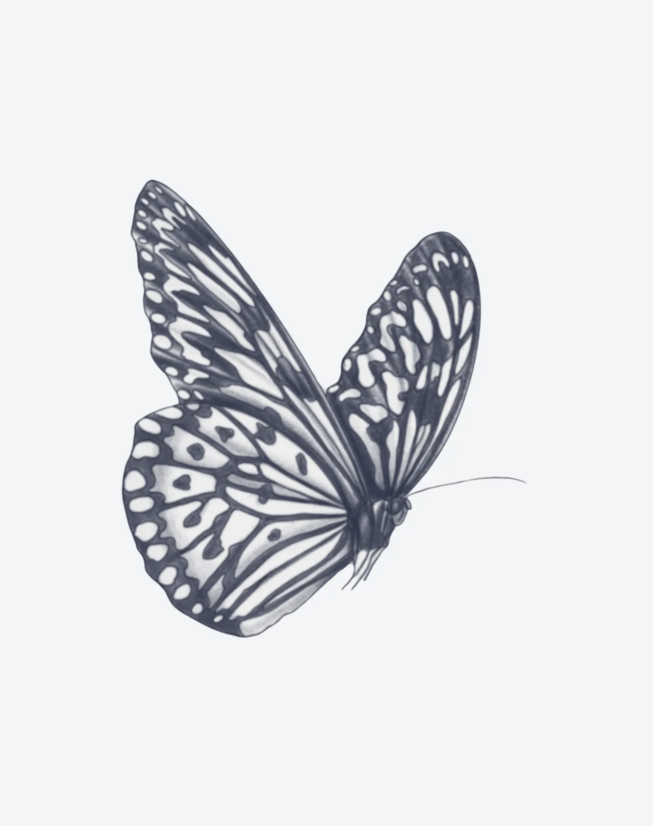 Winged Whimsy - Image 2