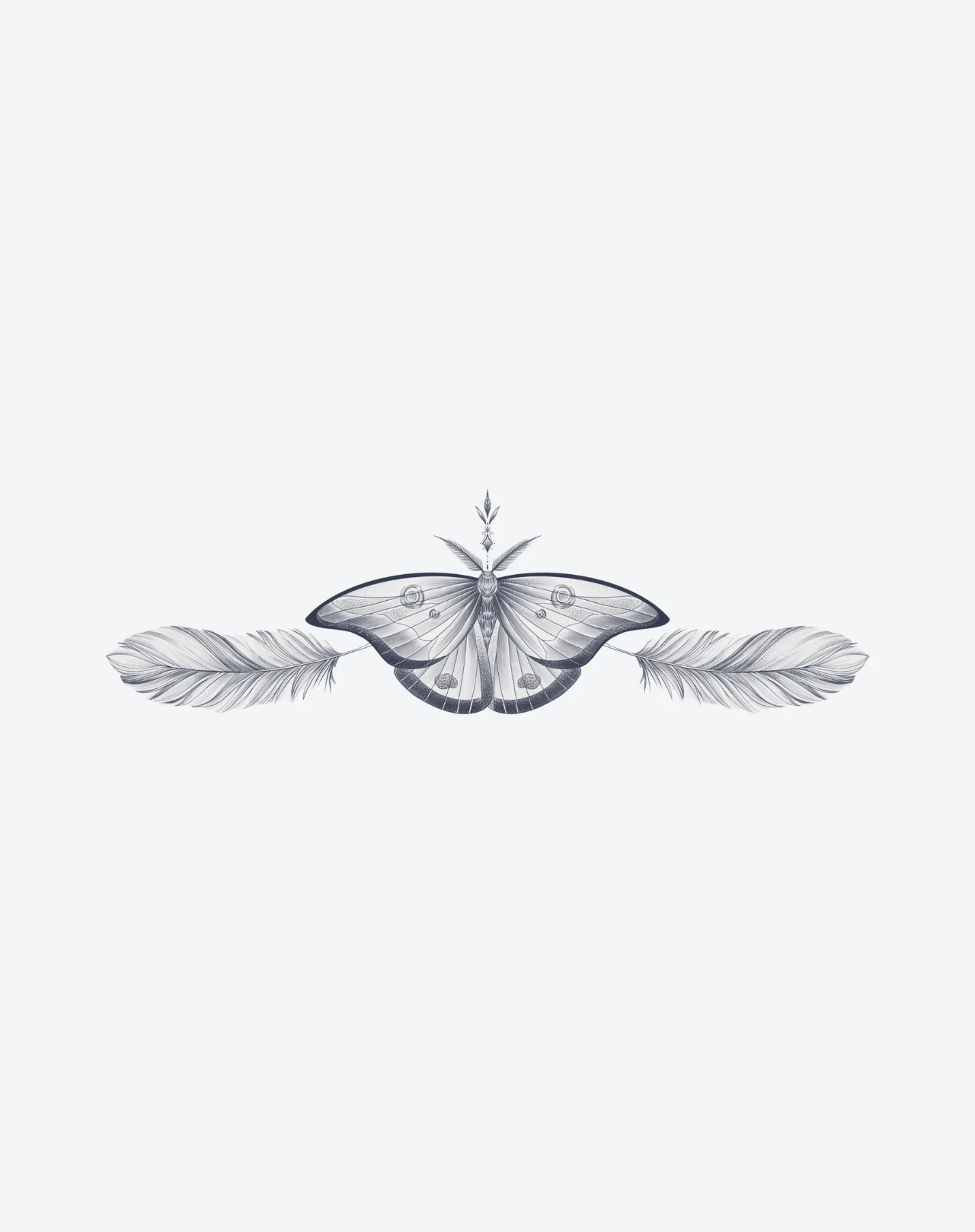 Wings Within - Image 2